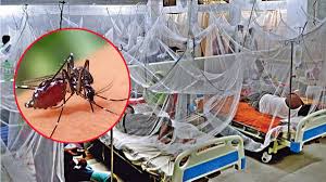 ডেঙ্গুতে একদিনে ৮ মৃত্যু