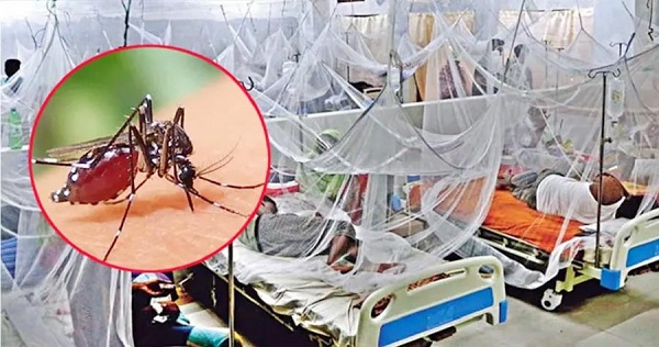 ভয়াবহ হয়ে উঠছে ডেঙ্গু, সতর্ক থাকার পরামর্শ
