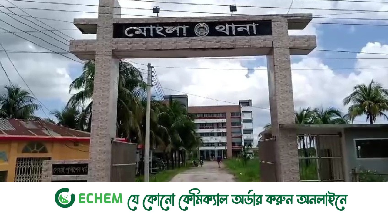 আওয়ামী লীগের ৭ জন আটক