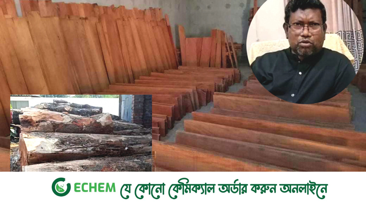 ঠাকুরগাঁওয়ে পাউবো কর্মকর্তার কোটি টাকার কাঠ বাণিজ্য