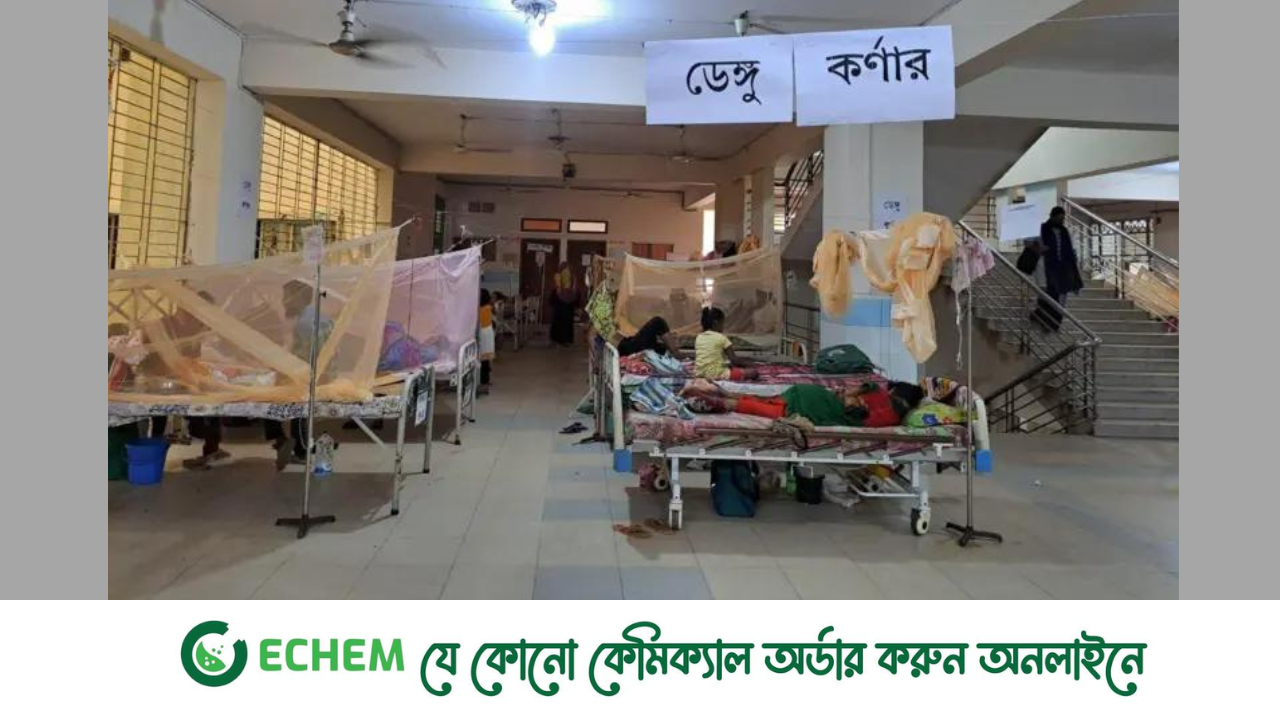 শয্যা সংকটে ফিরছে ডেঙ্গু রোগী