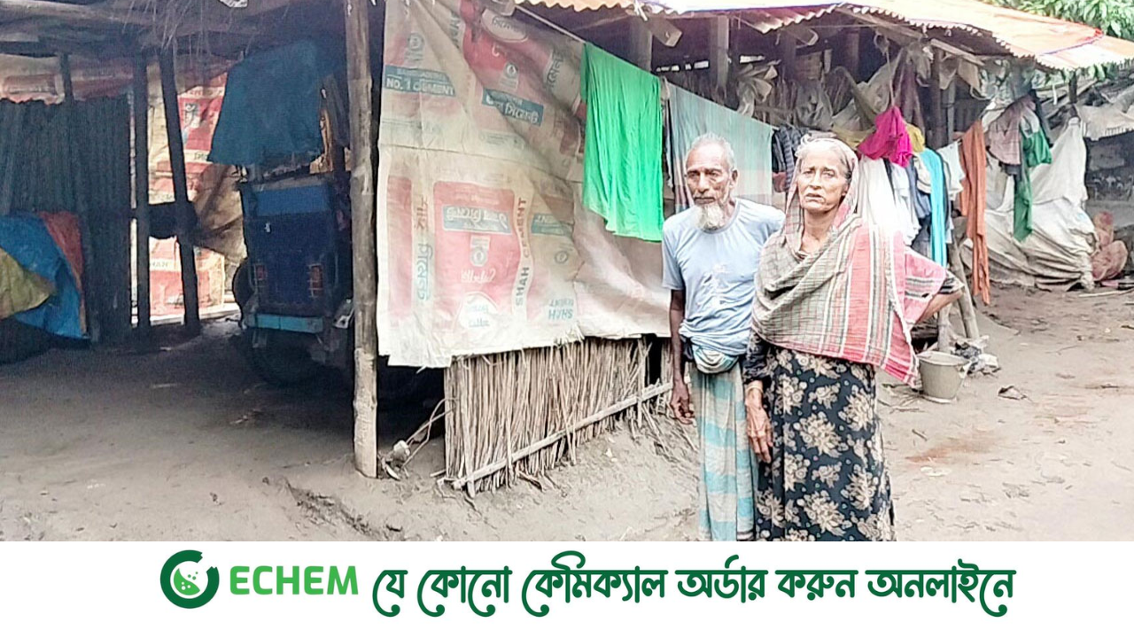 মোস্তফা-নুরজাহান দম্পতির কোথাও কোনো জমি নেই