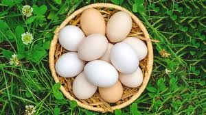 বিশ্ব ডিম দিবস: অস্থির ডিমের বাজার