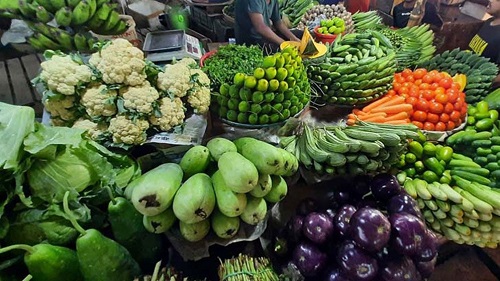 কোন সবজি নেই ১০০ টাকার নীচে, প্রাণ ওষ্ঠাগত