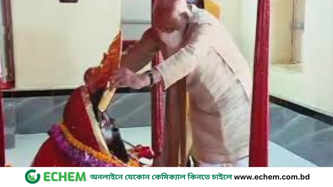 যশোরেশ্বরী কালীমন্দিরের স্বর্ণের মুকুট চুরির ঘটনায় মামলা, গ্রেপ্তার ৪