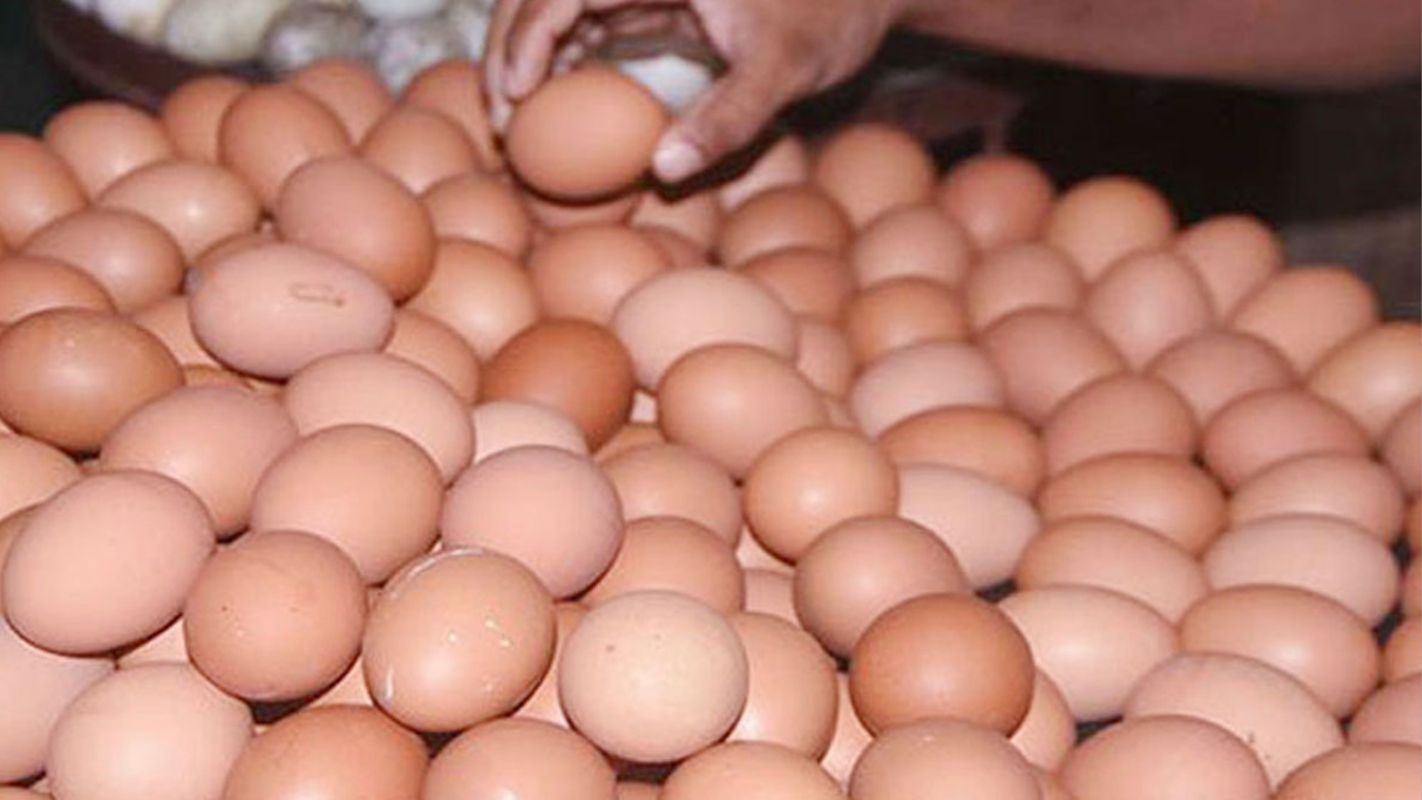 বুধবার থেকে ডিমের নতুন দাম কার্যকর হবে : ভোক্তা ডিজি