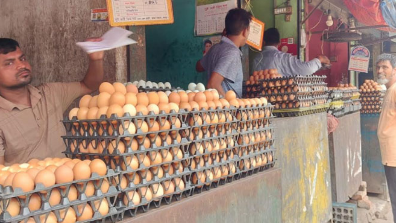 লাগামহীন ডিমের বাজার