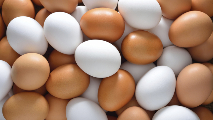 ডজনে ১৫ থেকে ২০ টাকা দাম কমেছে ডিমের