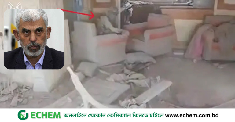 হামাসপ্রধান সিনওয়ারকে যেভাবে হত্যা করেছে ইসরায়েল