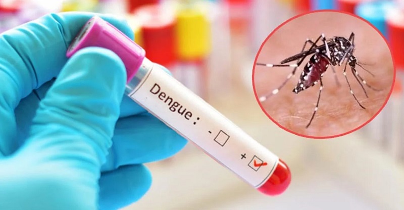 ডেঙ্গুতে আরও ৬ মৃত্যু, একদিনে বছরের সর্বোচ্চ রোগী হাসপাতালে