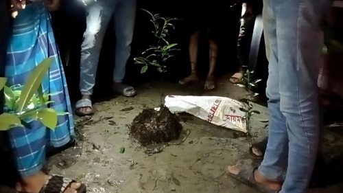 লক্ষ্মীপুরে সুপারীর বাগিচায় প্লাস্টিকের ব্যাগে বেওয়ারিশ নবজাতকের লাশ