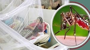 মৌসুম শেষে এসেও ডেঙ্গু চোখ রাঙাচ্ছে