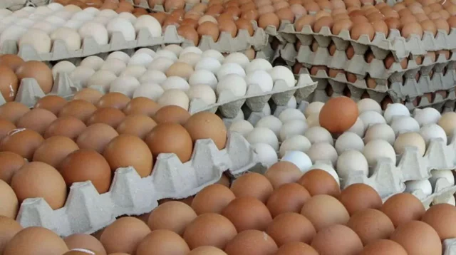 আজ থেকে ১৩ স্থানে সুলভে ২০ লাখ ডিম বিক্রি