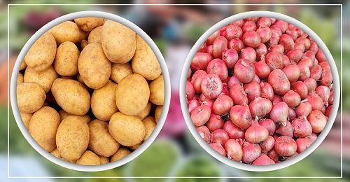 আলু-পেঁয়াজ, দাম কমার কোনো লক্ষণই নেই