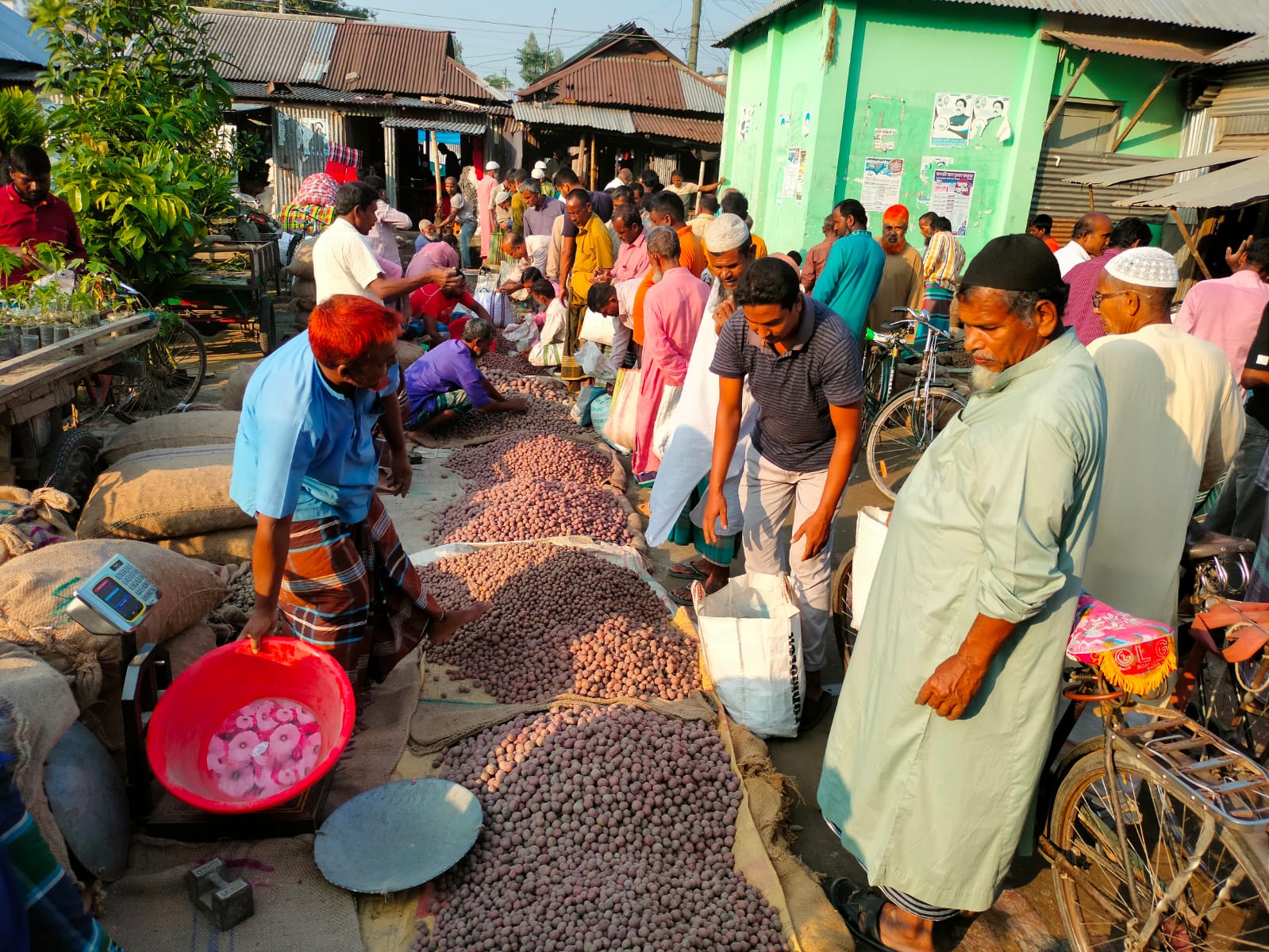 চড়া দামে বি‌ক্রি হ‌চ্ছে বীজ আলু, শঙ্কায় কৃষক
