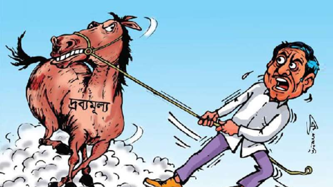 দ্রব্যমূল্য নিয়ন্ত্রণ কতদূর