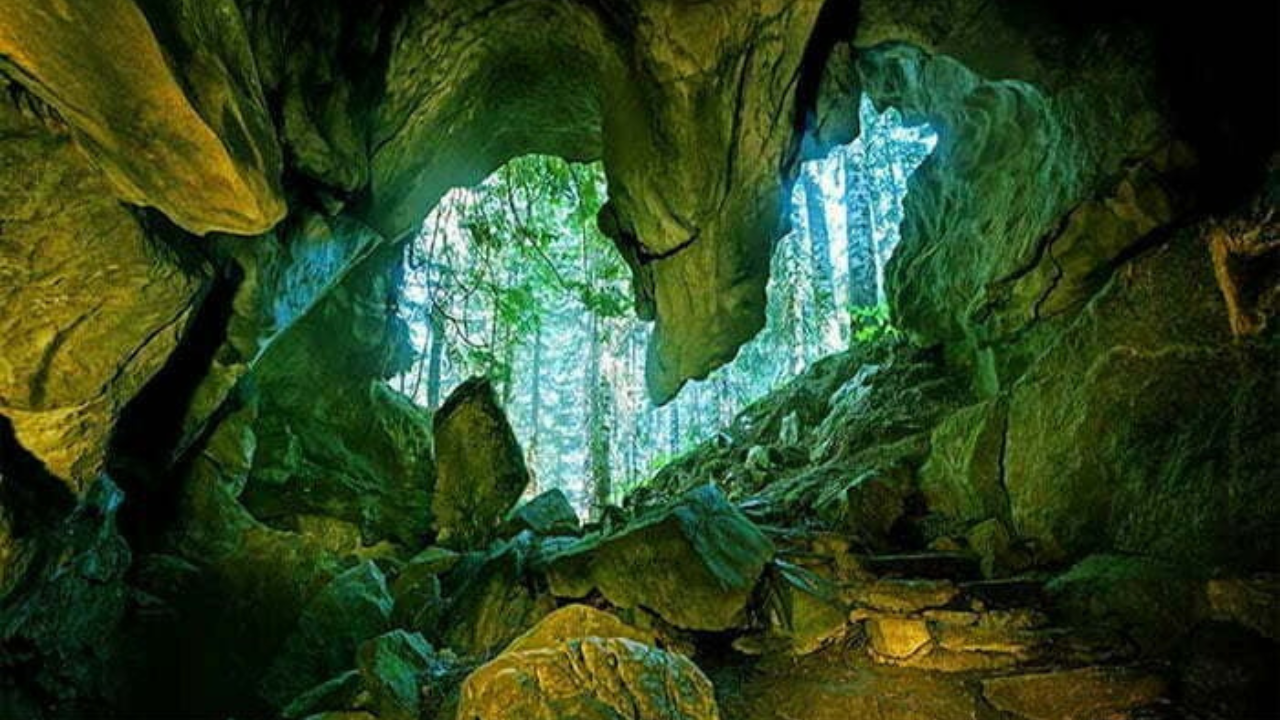 কক্সবাজারের দক্ষিণ শহরতলির দরিয়ানগর