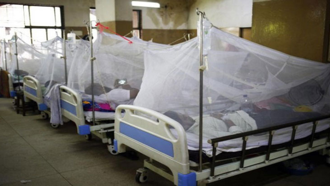 ডেঙ্গুতে একদিনে মৃত্যু ৮,হাসপাতালে ১৩৮৯ রোগী