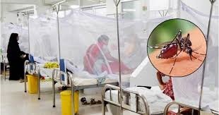 ডেঙ্গুতে মারা গেল ৯, হাসপাতালে ভর্তি ১২১৪