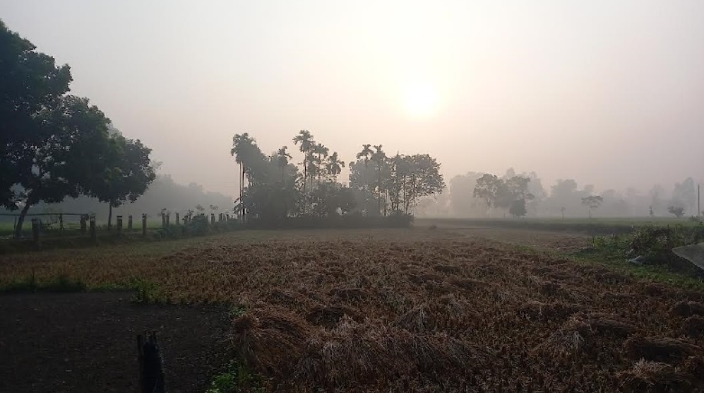 পঞ্চগড়ে বাড়ছে শীত, তাপমাত্রা ১৪ ডিগ্রি