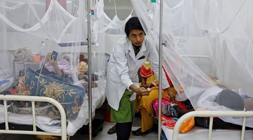 ডেঙ্গুতে এক সপ্তাহে মৃত্যু ৩১ ও আক্রান্ত ৬২৩০