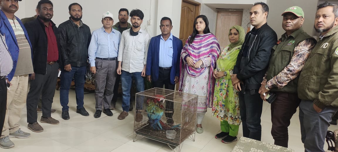 গাজীপুর সাফারি পার্ক থেকে ম্যাকাও পাখি চুরি, একটি উদ্ধার, চোর গ্রেফতার