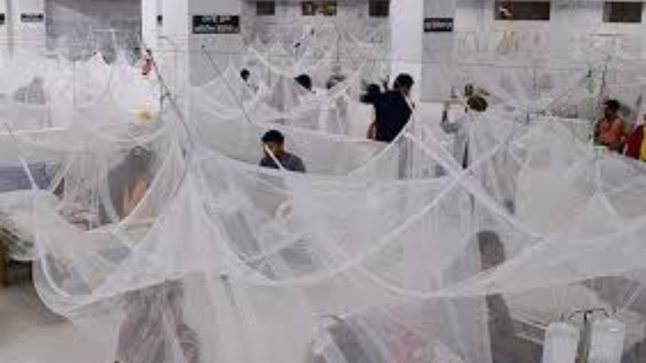 ডেঙ্গুতে মৃত্যু বাড়ছে,শুধু নভেম্বরেই ১৬৪ জনের মৃত্যু