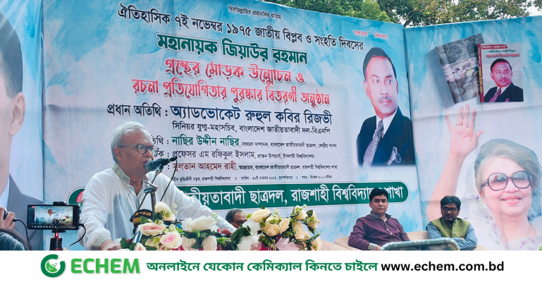 পিন্ডির কাছে মাথা নত না করা জাতি, দিল্লির কাছেও করবে না: রিজভী