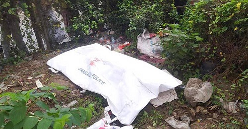 পেয়ারা বাগানে মিললো আওয়ামী লীগ নেতার মরদেহ