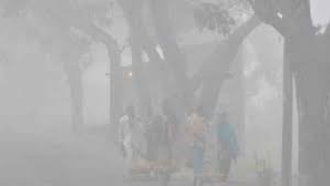 শৈত্যপ্রবাহ নিয়ে যা বলছে আবহাওয়া অধিদফতর