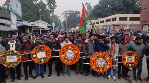 ফুলবাড়ী‌তে নতুন স্বপ্নের উদ্ভাসিত মহান বিজয় দিবস
