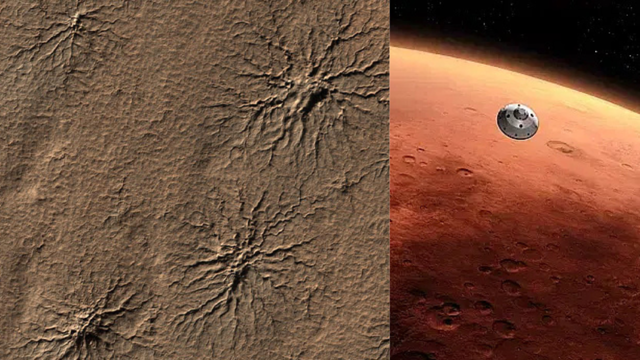 মঙ্গল গ্রহে মাকড়সার জাল-জট খুললেন বিজ্ঞানীরা