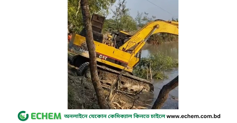 মোরেলগঞ্জে সামাজিক বনায়নের গাছ কেটে ঘেরের ভেড়ি