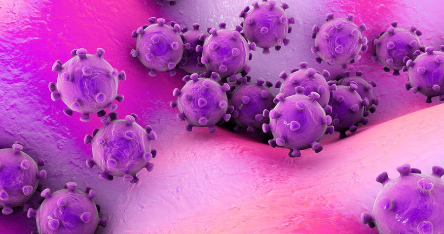 চীনে এবার নতুন ভাইরাসের প্রাদুর্ভাব