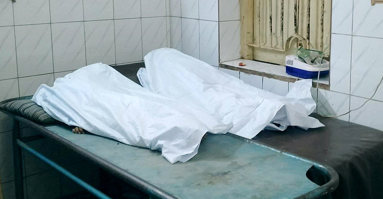 ট্রাকের ধাক্কায় ২ মোটরসাইকেল আরোহী  নিহত