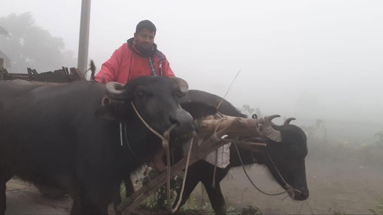 পঞ্চগড়ে তাপমাত্রা বাড়লেও কমেনি শীতের দাপট