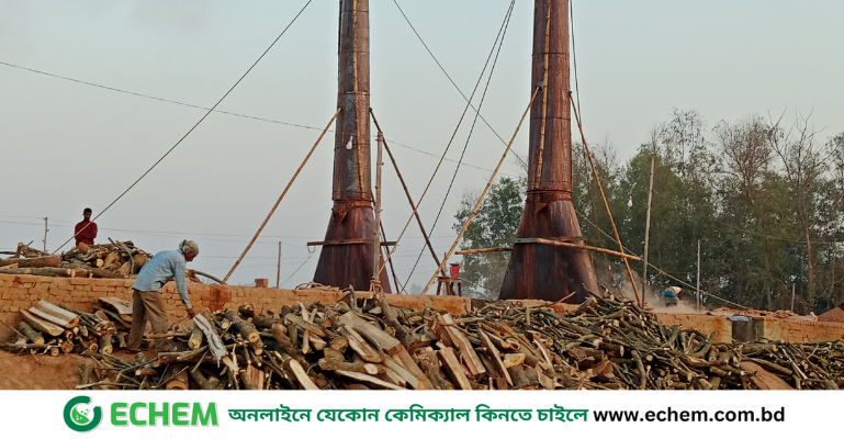 লক্ষ্মীপুরে ইটভাটায় অবাধে পোড়ানো হচ্ছে কাঠ, পরিবেশ ও বনবিভাগ নির্বিকার!
