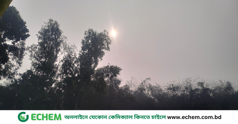 মাঘের ঘন কুয়াশা কাটিয়ে দীর্ঘদিন পর কুড়িগ্রামে সূর্যের হাসি