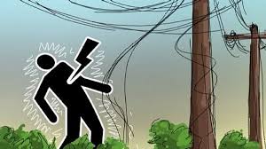 ফরিদপুরে গাছ কাটতে গিয়ে বিদ্যুত স্পৃষ্টে যুবকের মৃত্যু