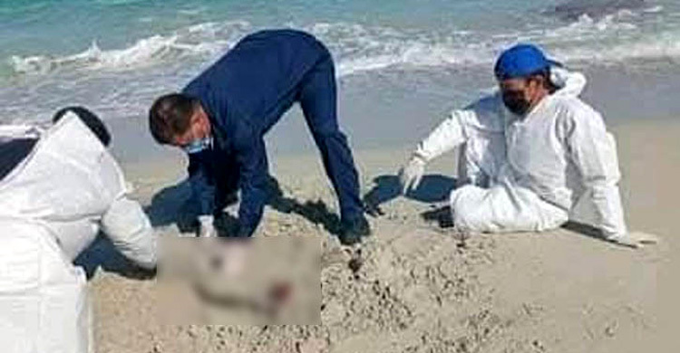 ধারণা বাংলাদেশি, উপকূলে ভেসে আসা ২০ মরদেহ সমাহিত