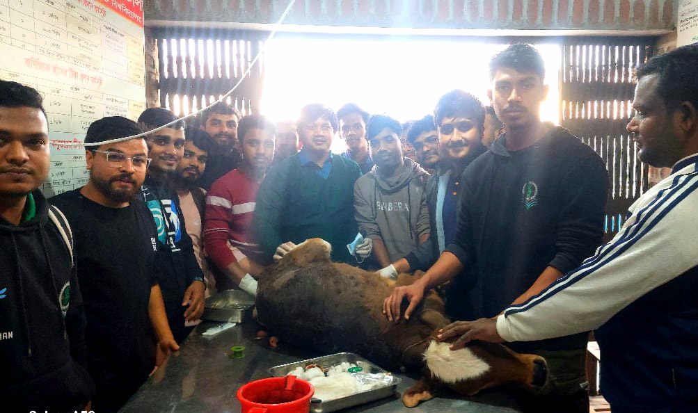 সংকটে কাঙ্ক্ষিত স্বাস্থ্যসেবা ব্যাহত হাবিপ্রবির ভেটেরিনারি হাসপাতালে