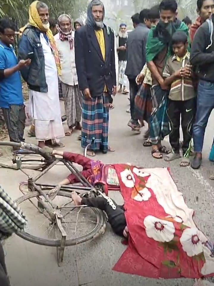 নোয়াখালীতে ট্রকা চাপায় ভাই-বোনের মৃত্যু