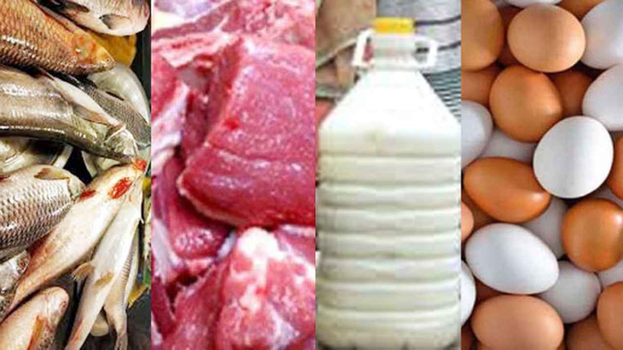 রমজানে ঢাকার ২৫টি স্থানে সুলভ দামে মাছ-মাংস-ডিম বিক্রি করবে সরকার