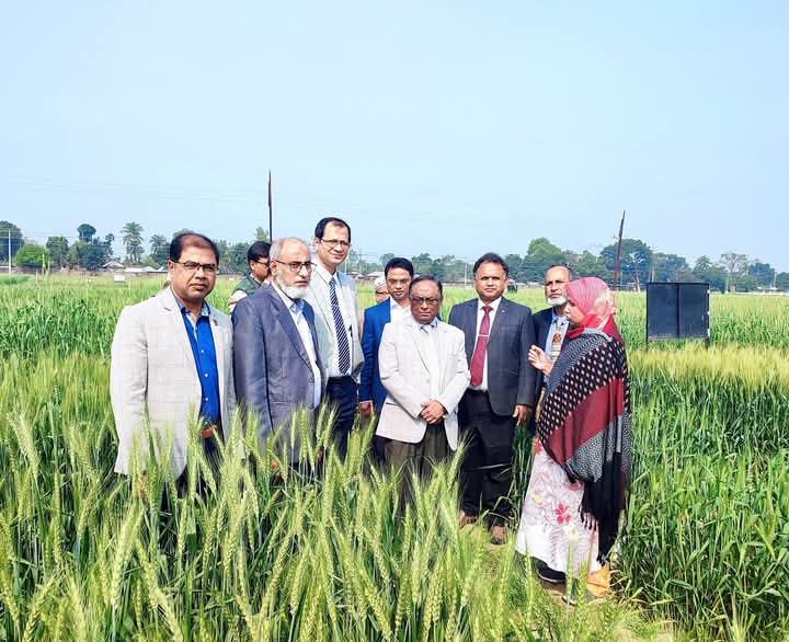 পিএইচডি ফেলো’র গবেষণা মাঠ পরিদর্শন করলেন হাবিপ্রবি উপাচার্য