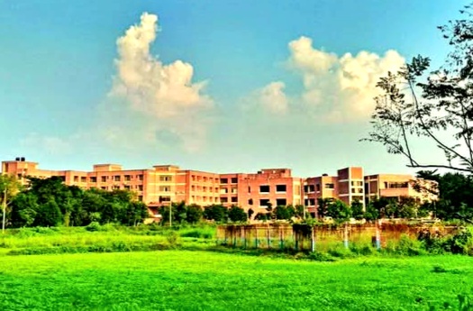 হাবিপ্রবি শিক্ষার্থীদের জন্য পিএইচডি ফেলোশিপ, আবেদন ২০ এপ্রিল পর্যন্ত