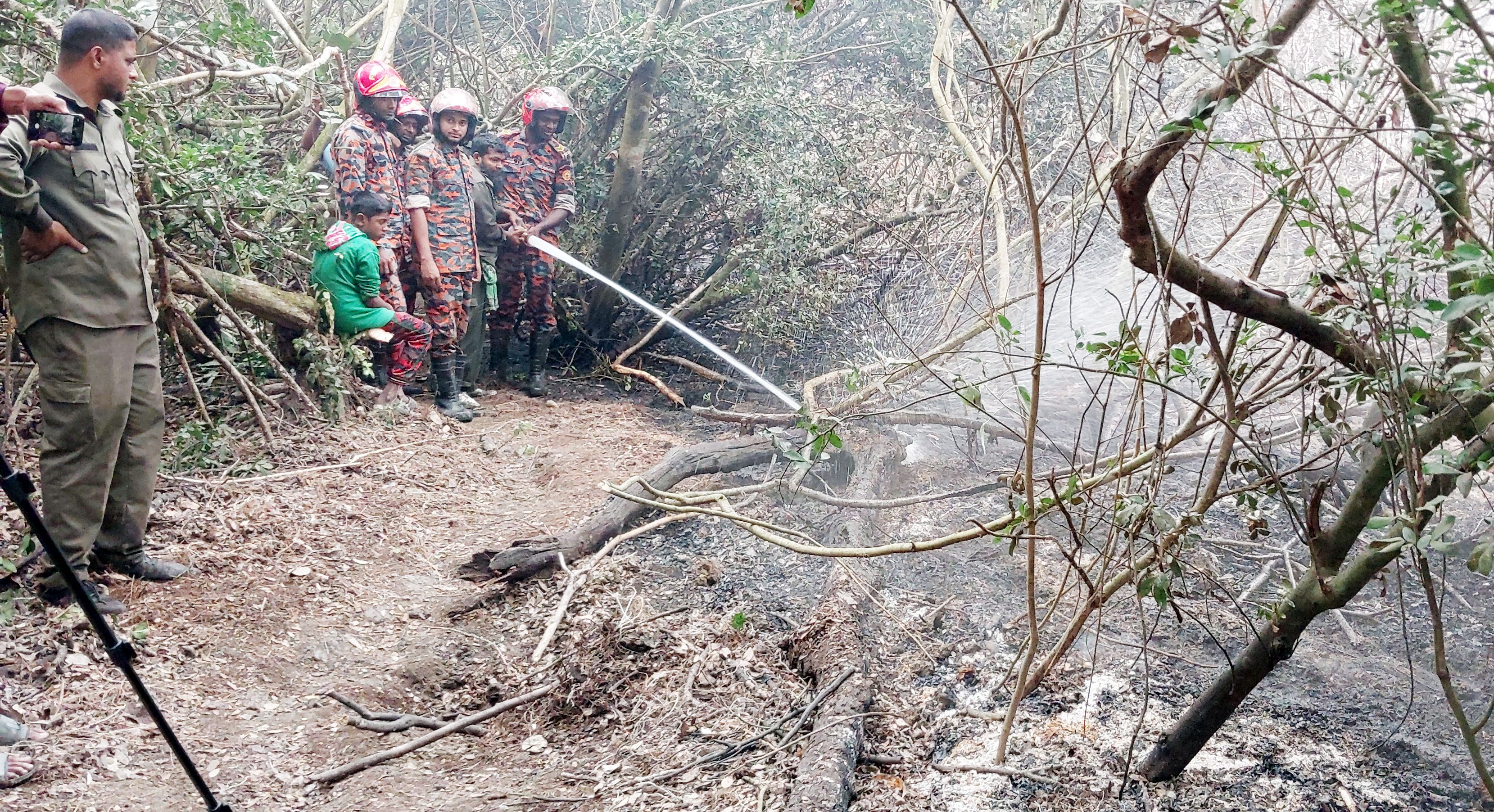 সুন্দরবনের শাপলার বিল এলাকায় আগুন, ৩ সদস্য বিশিষ্ট তদন্ত কমিটি গঠন