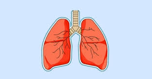 ইউএসএইডের অর্থায়ন বন্ধ: প্রভাব পড়েছে যক্ষ্মা রোগ নির্ণয়, প্রতিরোধ এবং চিকিৎসায়
