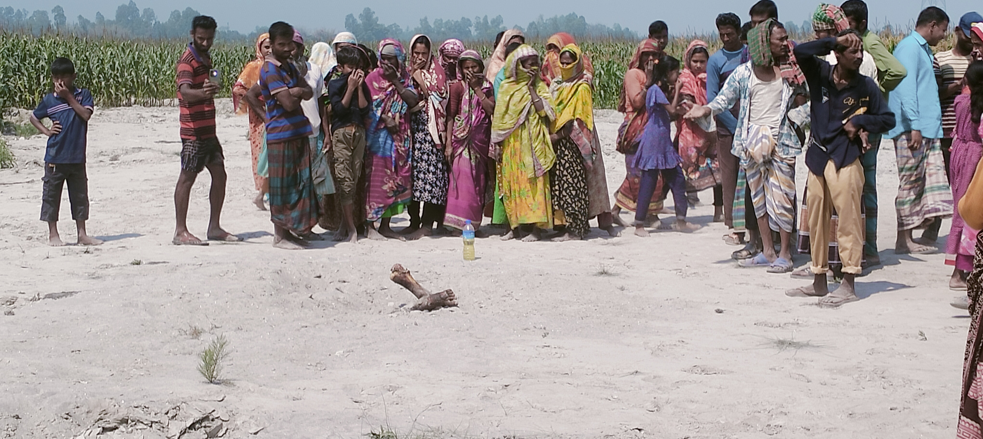 ফুলবাড়ীতে ভুট্টা খেতে অজ্ঞাত লাশ উদ্ধার