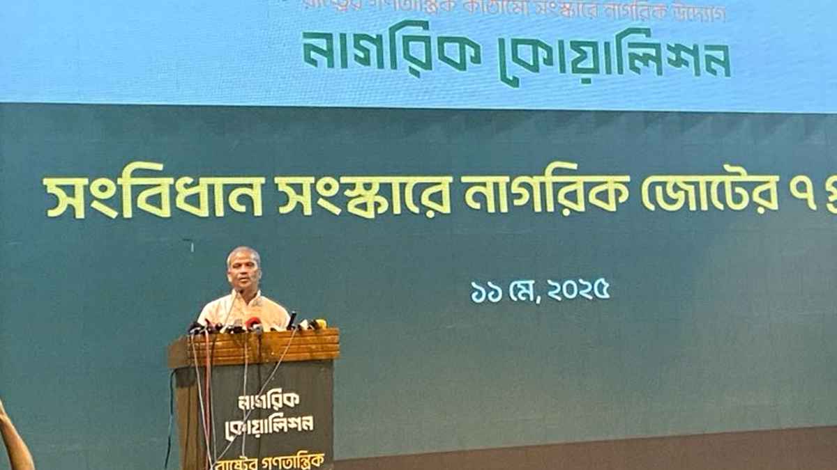 নতুন সংবিধান প্রণয়ন সময়সাপেক্ষ ব্যাপার: আসিফ নজরুল