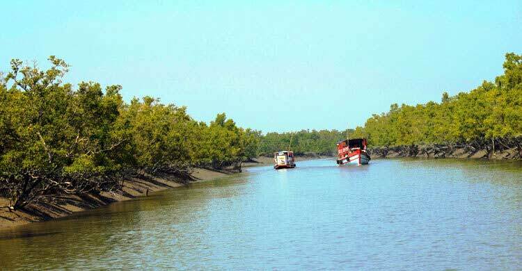 সুন্দরবনের ১০ কিমির মধ্যে শিল্পপ্রতিষ্ঠান নির্মাণ নিষিদ্ধ